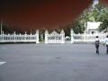 gal/Ile Maurice/_thb_SP_A0082_Pamplemouse_Garden_Pamplemousses_Garden.jpg